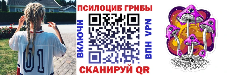 закладки  Благовещенск  МЕГА зеркало  Псилоцибиновые грибы мухоморы 