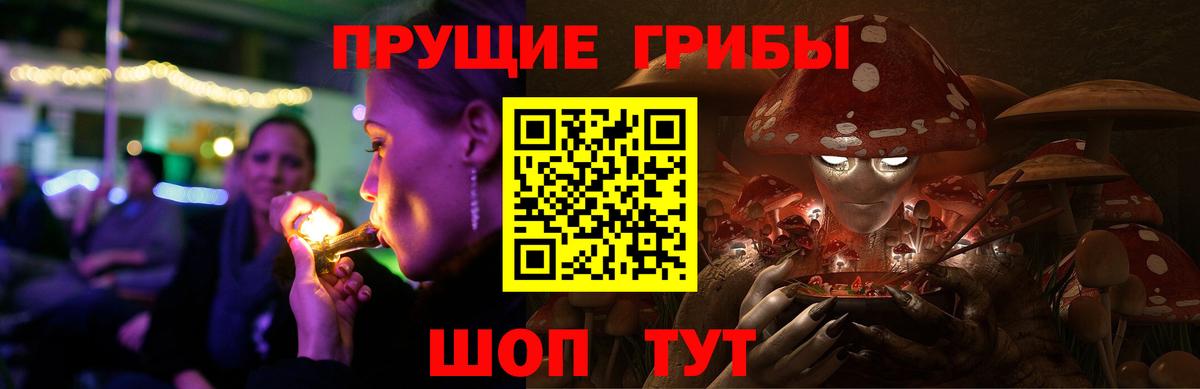 Благовещенск  Галлюциногенные грибы GOLDEN TEACHER  Галлюциногенные грибы GOLDEN TEACHER  Вход с VPN 